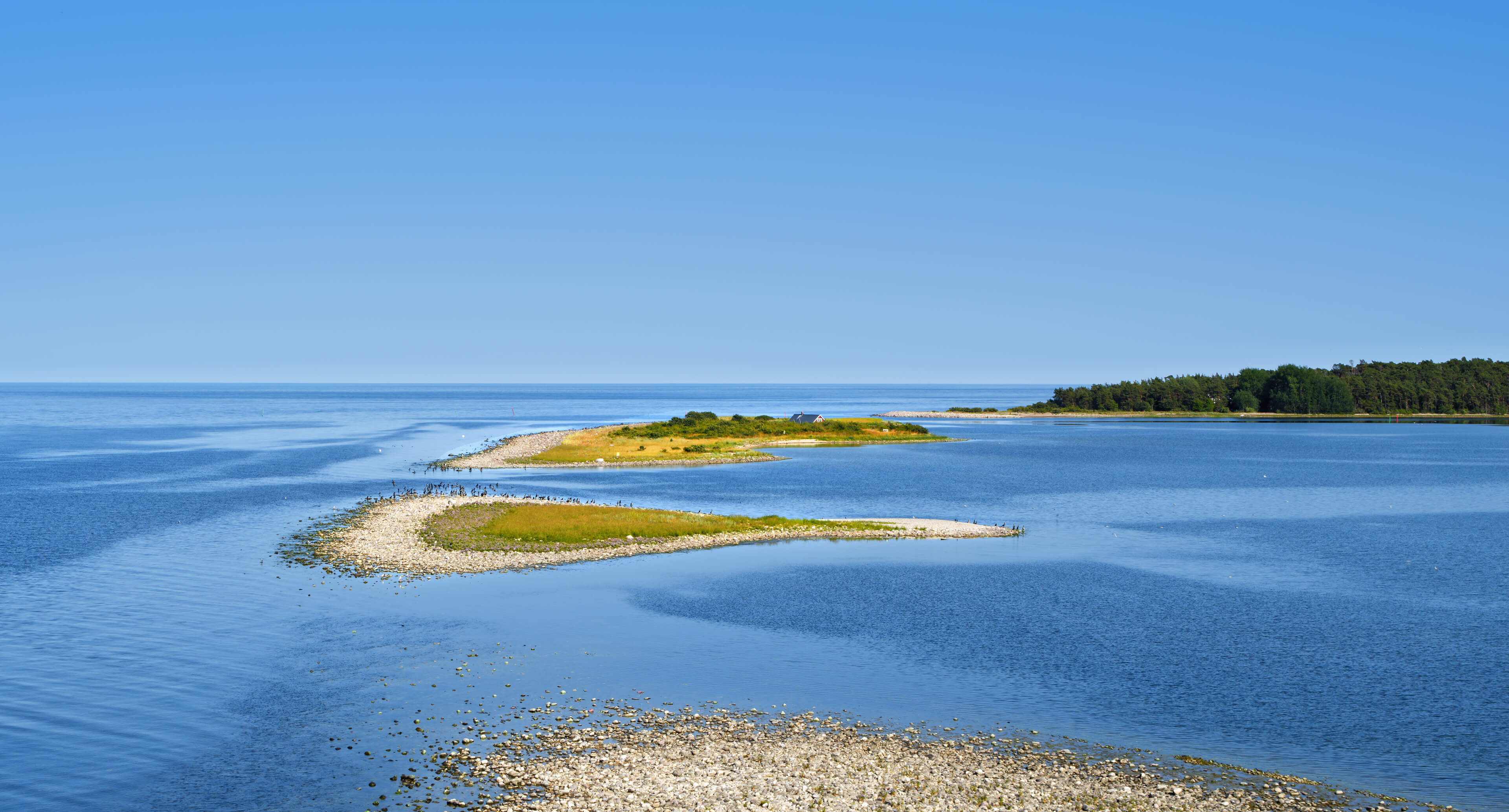 Bild som beskriver Sponsorskap 