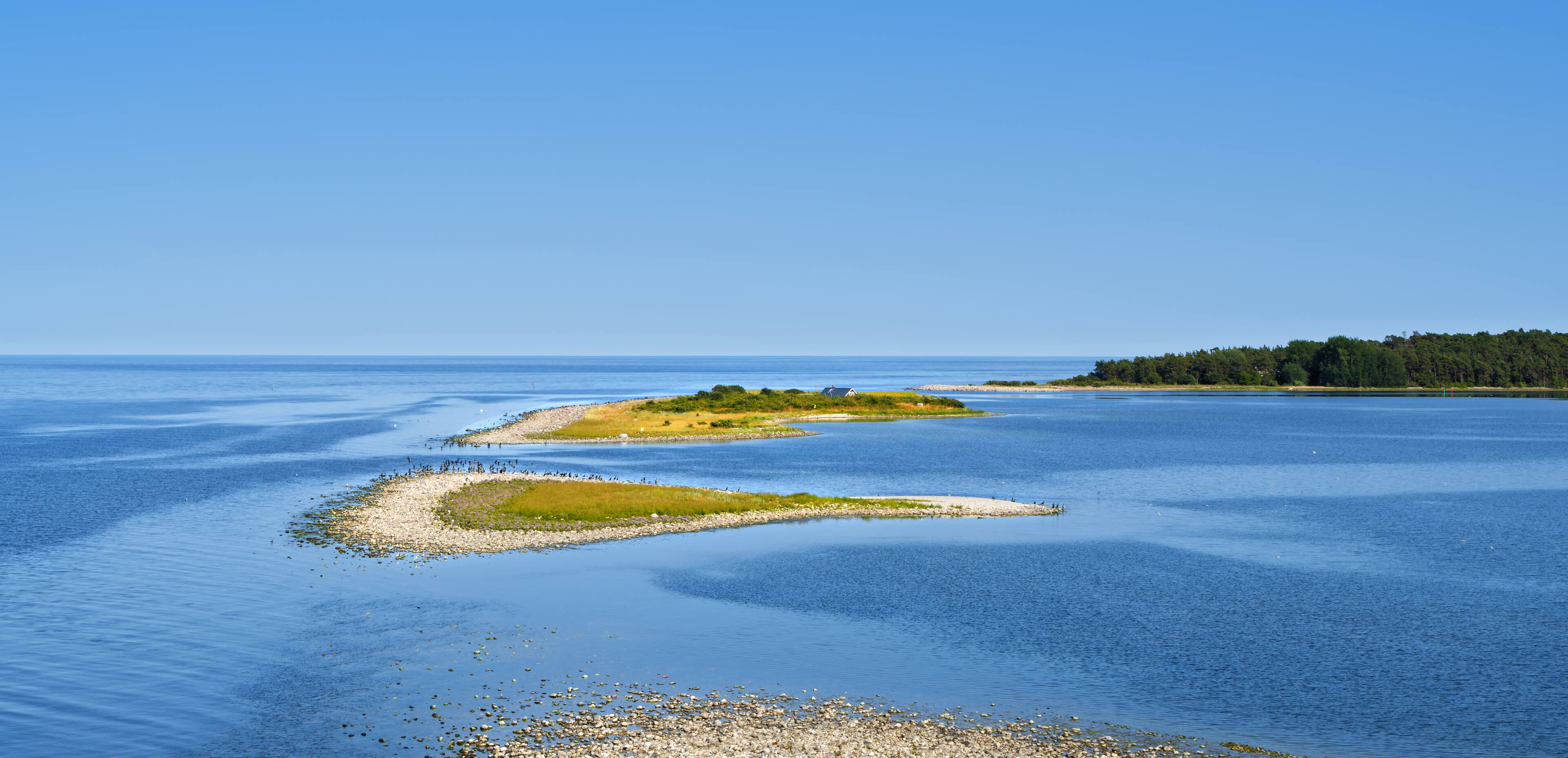 Bild som beskriver Sponsorskap 