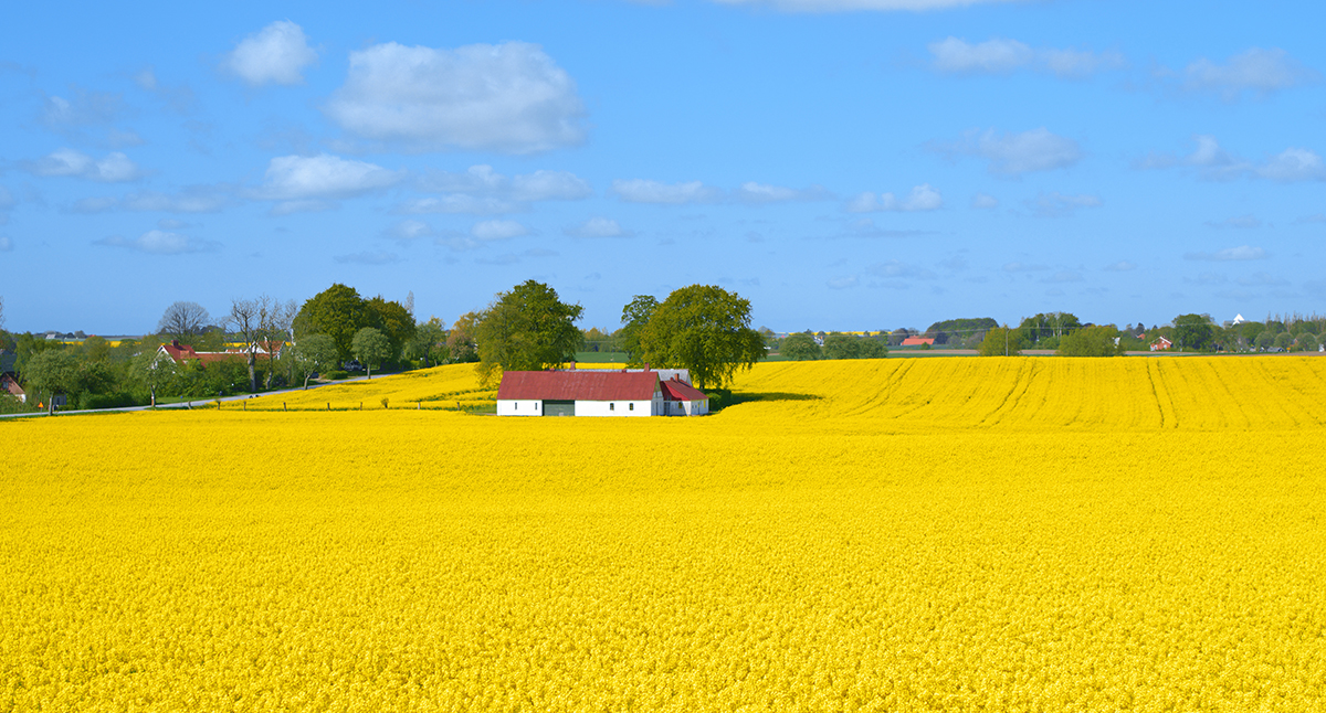 Bild som beskriver Nationell linjär reklam