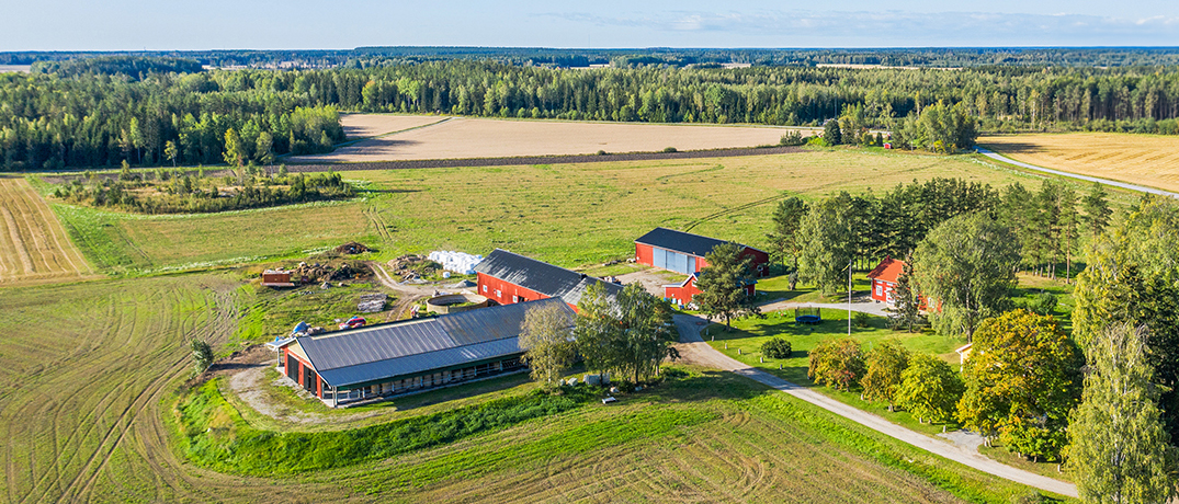 Bild som beskriver ”Han är inte bara en säljare utan en partner till vårt företag”