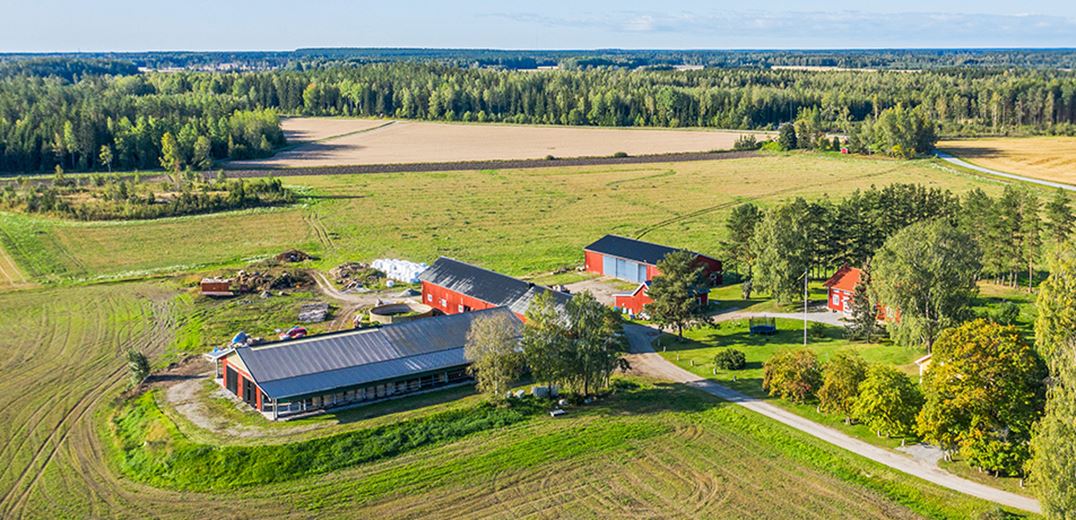Bild som beskriver ”Han är inte bara en säljare utan en partner till vårt företag”